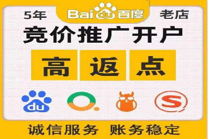 某行业SEM竞价专员的成功策略与经典案例